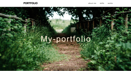 my portfolio